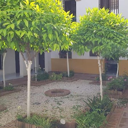 קורדובה Precioso Apartamento Junto A Plaza La Corredera מראה חיצוני תמונה